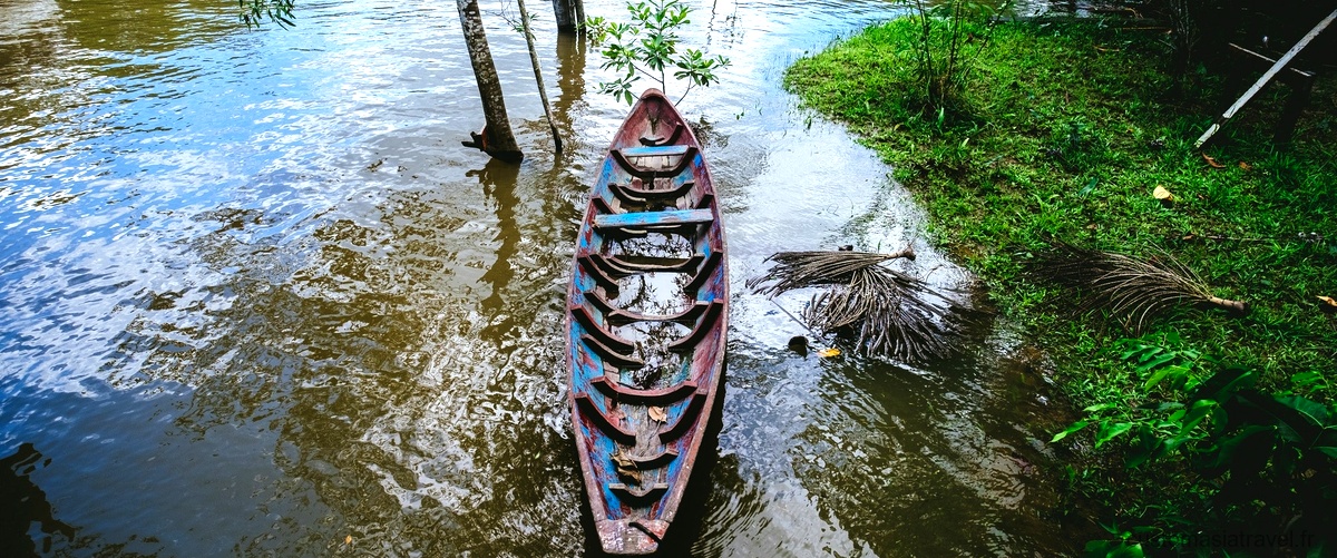 Découvrez les merveilles du Delta du Mekong lors d'une croisière inoubliable