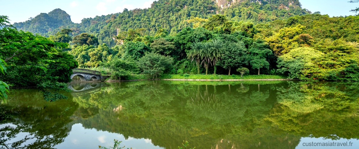 Explorez la beauté naturelle de Yen Bai Vietnam