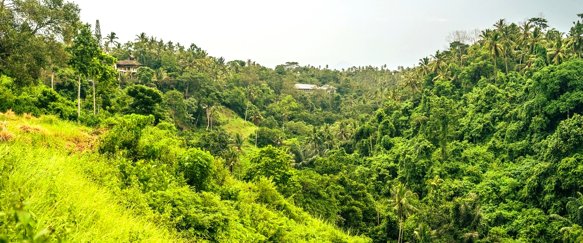 Kon Tum, un véritable paradis pour les amateurs de nature et d'aventure