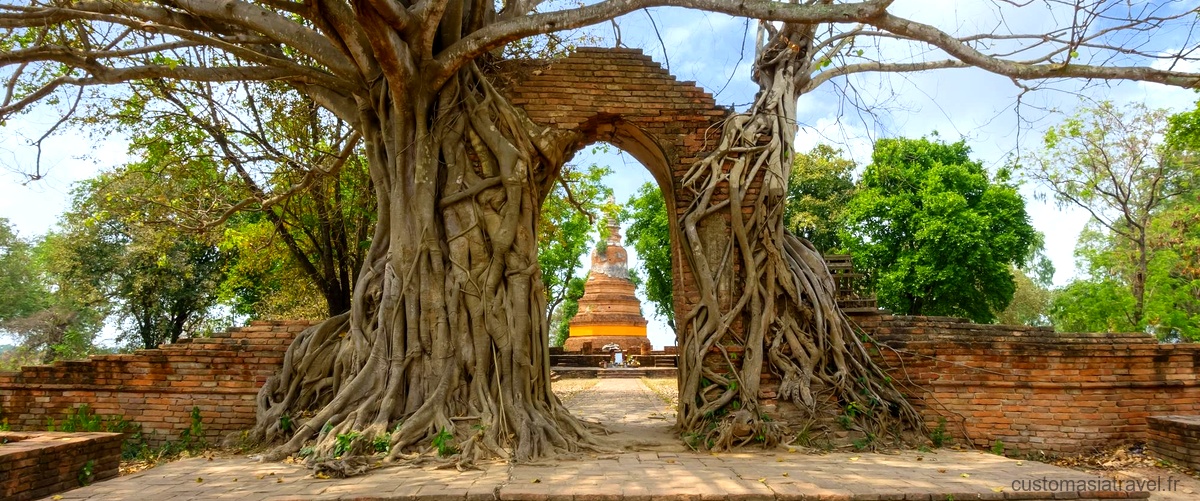Plongez dans l'histoire et la spiritualité de la pagode Phuc Thanh au Vietnam