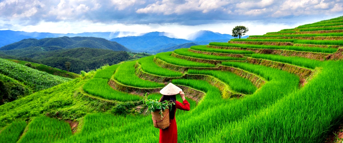 Visiter le Vietnam du Sud : les destinations incontournables
